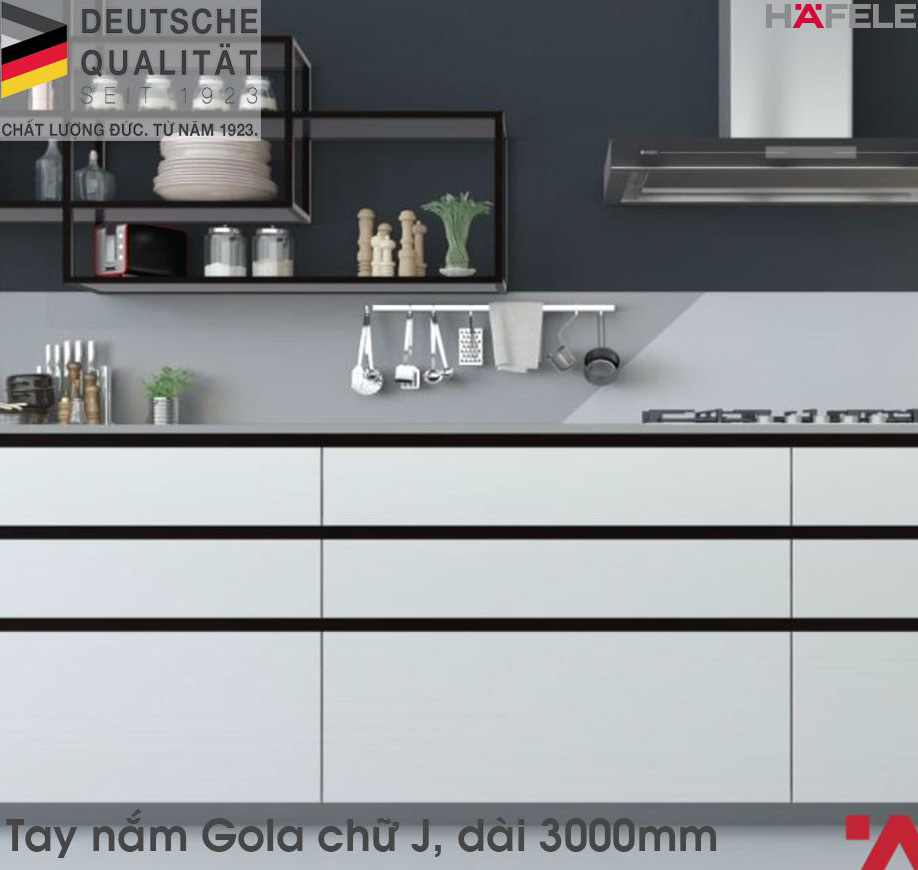 Bosch PST 700 E Gun Battery Powered 100% Tank